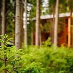 Stvrta Voda - Lucky Jasna Appartement