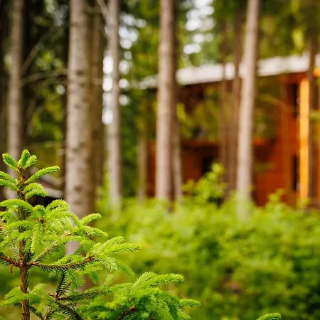 Stvrta Voda - Lucky Jasna Apartament