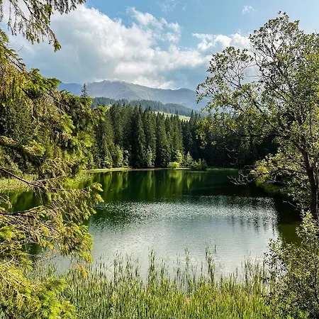 Stvrta Voda - Lucky Jasna *